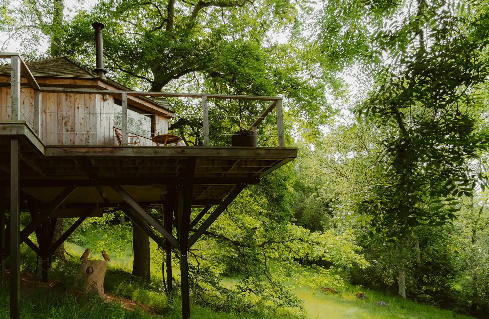 The Treehouse at The Fold, a timber cabin on stilts among tall trees