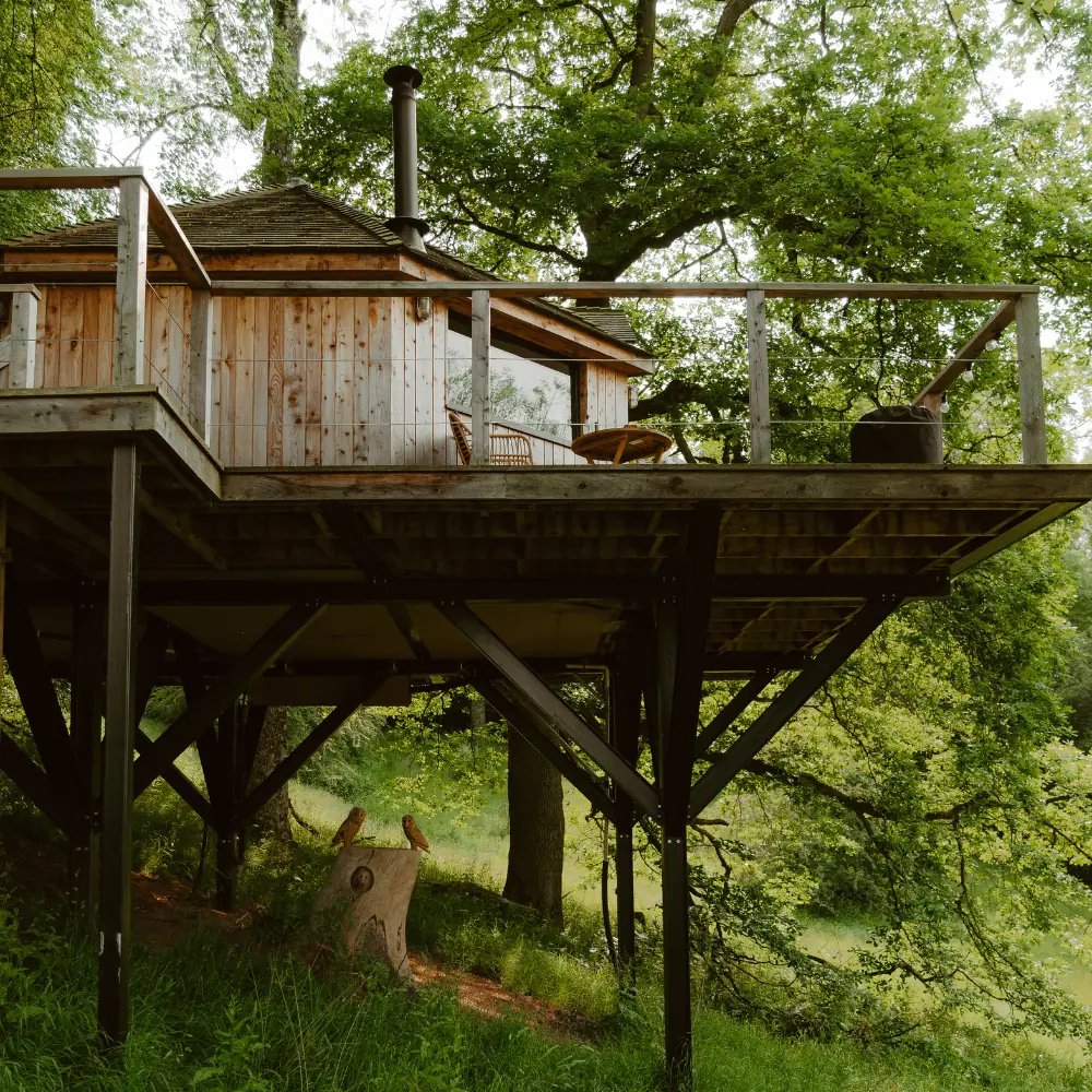 The Treehouse on tall stilts among the trees